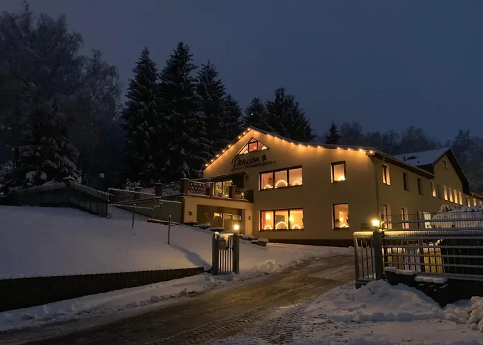 Kid Friendly Hotels in Annaberg-Buchholz