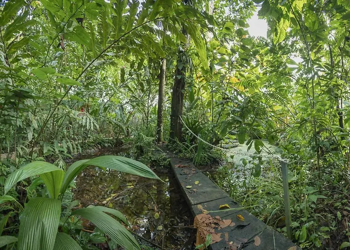 Kid Friendly Hotels in La Fortuna