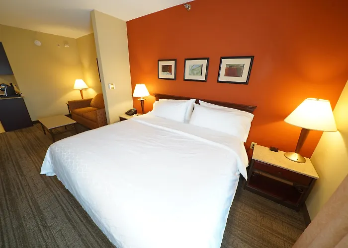 Kid Friendly Hotels in Oldsmar