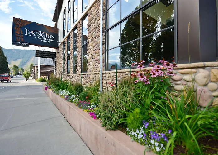 Kid Friendly Hotels in Jackson