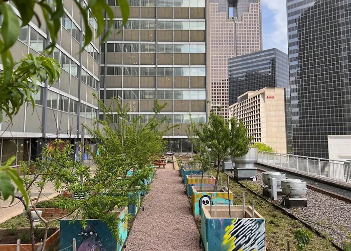 Kid Friendly Hotels in Dallas