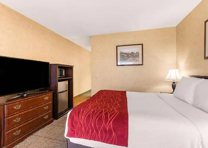 Kid Friendly Hotels in Escondido
